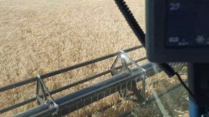 Торум 750.  Уборка продолжается !