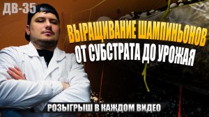 ГРИБОВОДСТВО ДЛЯ НАЧИНАЮЩИХ | ВЫРАЩИВАЕМ ШАМПИНЬОНЫ | ДВ 35
