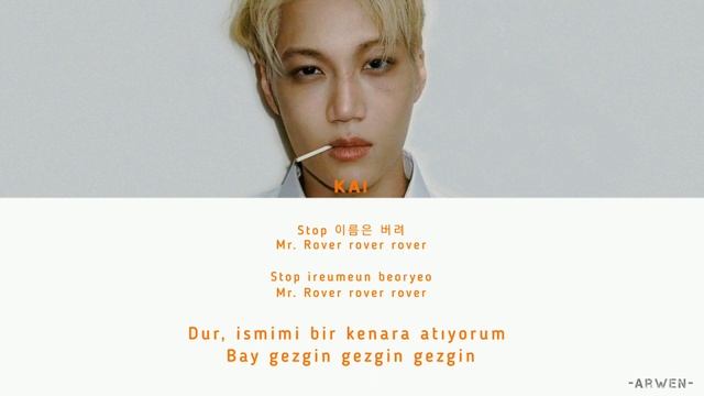 KAI - 'ROVER' [HAN|ROM|TÜRKÇE ALTYAZILI] [TÜRKÇE ÇEVİRİ]