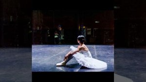 The White Swan