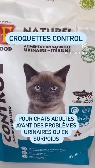 Quelles croquettes BF Petfood choisir pour votre chat adulte ? смотреть онлайн
