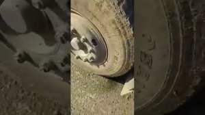 Трал с экскаватором зацепил провода с напряжениям 10000 вольт