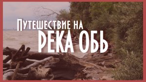 ПОЕЗДКА на выходные.ЖИВОТНЫЕ рек и Сибири.РЕКА ОБЬ Новосибирск.Реки России.ЛЕТО 2024.