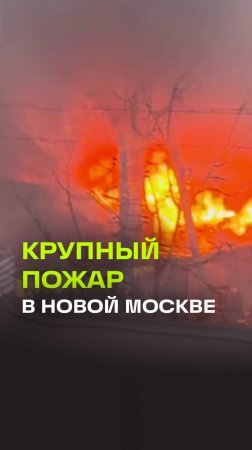 Возгорание на рынке в Новой Москве