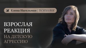 Взрослая реакция на детскую агрессию