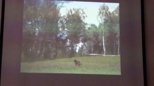 Концерт проекта ГИТАРУ ЗВОНКУЮ ВОЗЬМУ. Валентин Корнилов