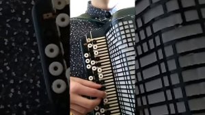 Малиновский Ах вы Сени мои Сени На баяне