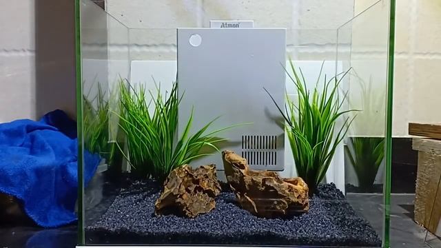 SMALL FISH TANK  SETUP 2018 смотреть онлайн