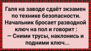 Как Галя На Заводе Экзамен Сдавала! Сборник Свежих Анекдотов! Юмор!