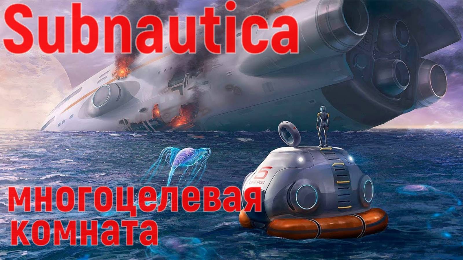 многоцелевая комната