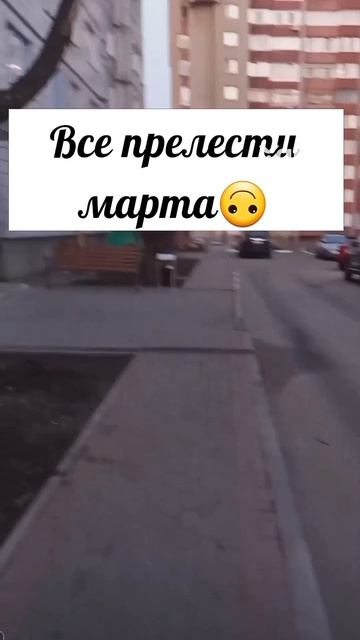 #смех #смехдослез #смехпродлеваетжизнь #смехдослёз #панда_копирайтинг #смехигрех #смехдаитолько #лиг
