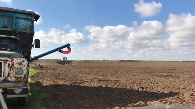 Пшеница потенциалом 120 ЦЕНТНЕР | Сеем чешский сорт ЮЛИЯ смотреть онлайн