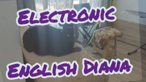 Electronic English Diana