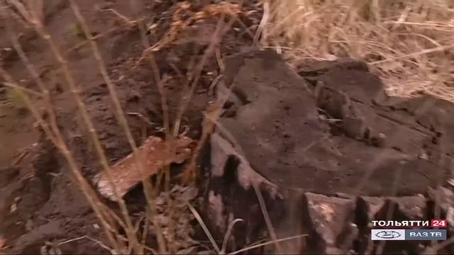 День Земли в Тольятти («Новости Тольятти» 22.04.2021)