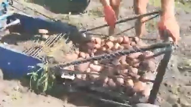 Самодельный картофелеуборочный комбайн смотреть онлайн