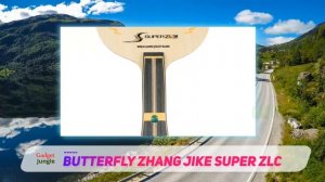 Best Table Tennis Bats 2023 - Butterfly Zhang Jike Super ZLC