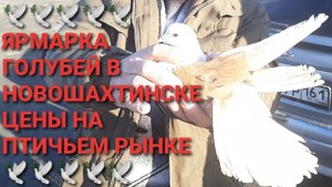 🔥💰🔥 Ярмарка голубей в г.Новошахтинск. Цены птичьего рынка. Bird Market. Pigeons Fair.