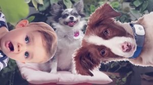 Собака и ребёнок: оставлять ли собаку? | Часть 1 🐕👶