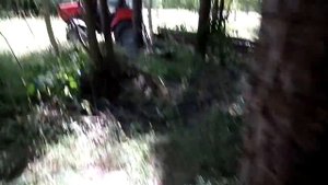 Мтз-320 трелерует лес