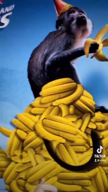 СКОЛЬКО ПАКЕТИКОВ ЧАЯ ВЕСЯТ ТАКЖЕ КАК И ТЫ??? #shorts смотреть онлайн