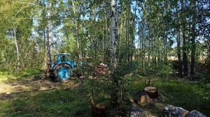 Поездка в лес за дровами. Трактор Т-40 с кабиной ЮМЗ.