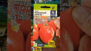 Первая половина марта