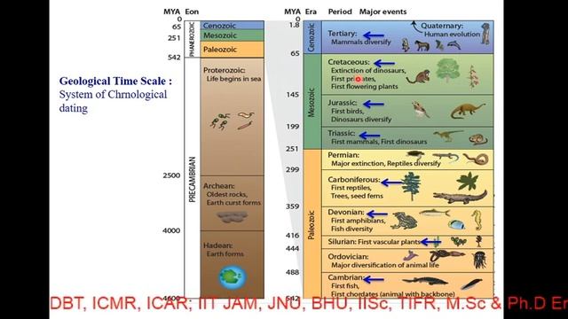 Geological Time Scale: Explain & Question Analysis for CSIR Exam смотреть онлайн
