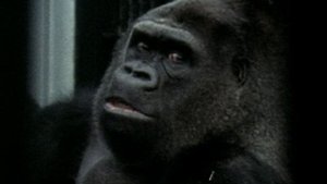 Курьёзы природного мира 2 сезон 5 серия «Дурная слава» (документальный сериал, 2013)