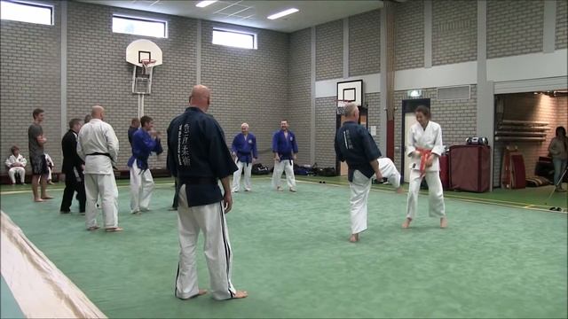 Hans Spaan Sensei. Dutch  Furenzu Budo Seminar 2016 смотреть онлайн
