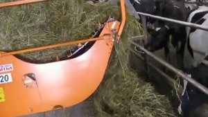 Разворачиватель рулонов Н-920 (работа)