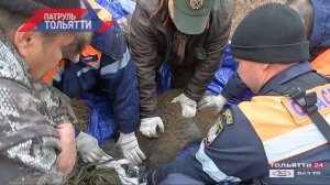 «Патруль Тольятти» 19.10.2020 на ТОЛЬЯТТИ 24