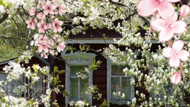 Туда, где цветёт за окошком Вишња (YuriY FiguroF sings 🎧stereo) смотреть онлайн