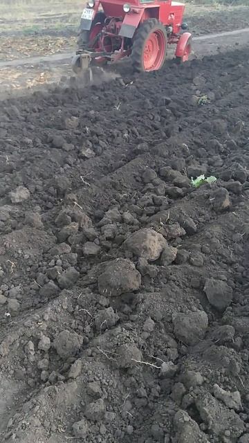 Т 25 #владимирец #пахота #плуг смотреть онлайн