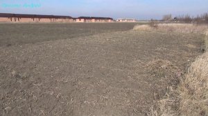 Один день из сельской жизни пришло тепло