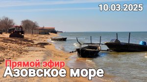 Гуляем по пляжам Азовского моря #стрим Голубицкая 2025
