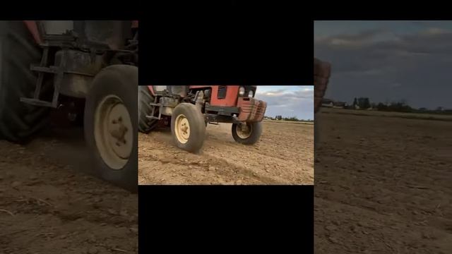 Sjetva kukuruza 2022 смотреть онлайн