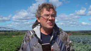 День поля овощных культур в Горномарийском районе