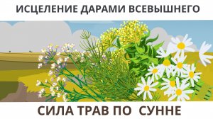 Исцеление дарами Всевышнего.