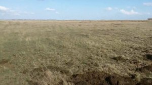 мтз 80 пашем целину 2016 год