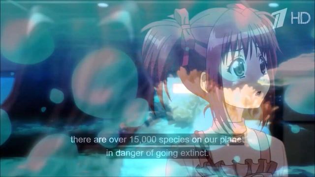 Вечерний Хосфранов. 07.12.2022 #2 смотреть онлайн