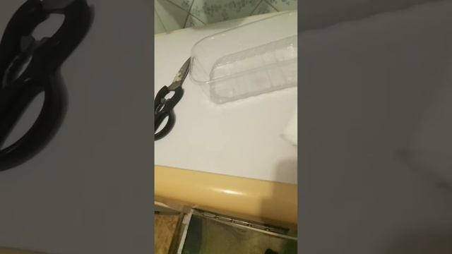 как вырастить пшеницу