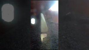 Сбор урожая подсолнечника 2023