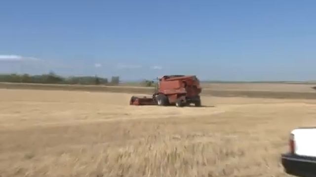 Устойчивость зерновых к засухе. Система No-Till с использование СТИМИКС смотреть онлайн
