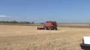 Устойчивость зерновых к засухе. Система No-Till с использование СТИМИКС