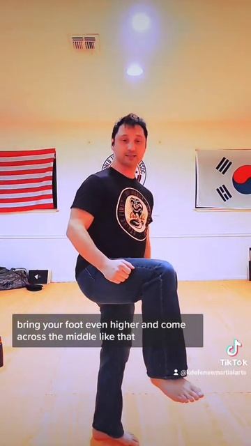 A simple kick used in Cobra Kai quite often
