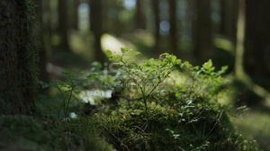 istockphoto-1322829761-640_adpp_is