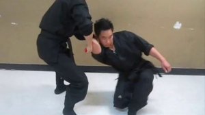 Tessen (metal fan) techniques by Kim Kunoichi - video #231