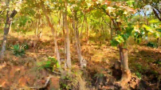 Tirumala Hills смотреть онлайн