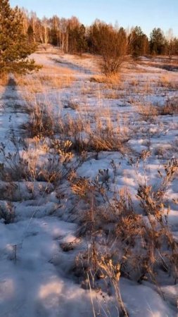 Запахло весной