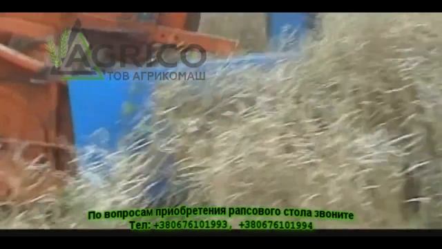Рапсовый стол цена